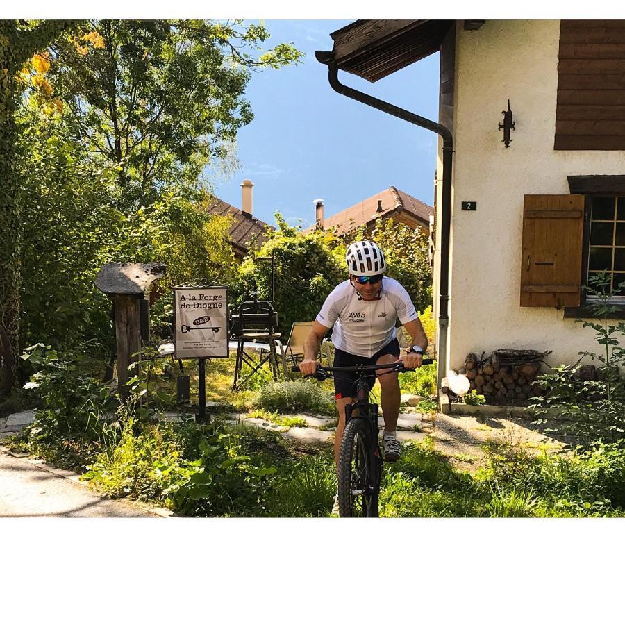 B&B La Forge De Diogne Crans-Montana Esterno foto